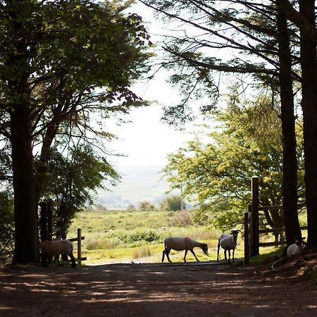Wheal Tor Hotel & Glamping 리스커드 외부 사진